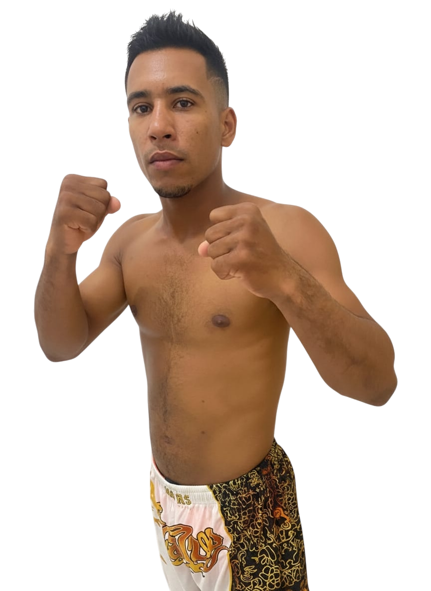 João Victor Santos de Araujo