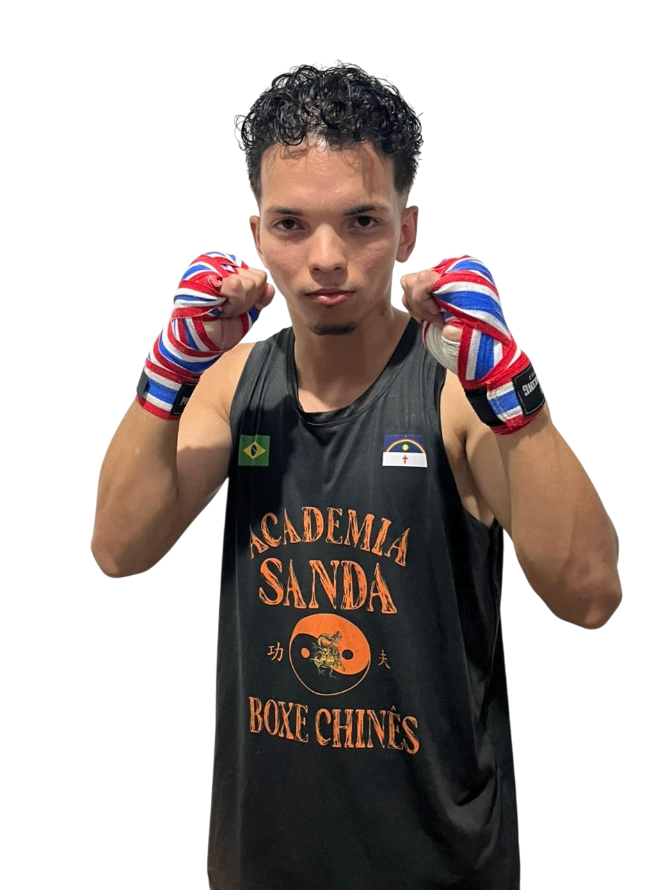 Jose wellington da Silva filho